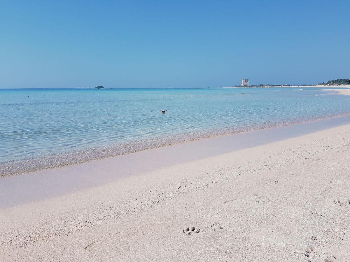 Hotel Posidonia Porto Cesareo Buitenkant foto
